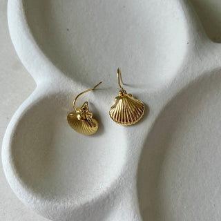 Shell Earrings