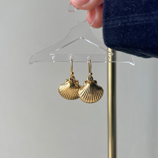 Shell Earrings